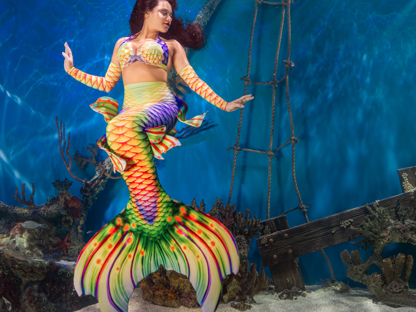 Mertailor Whimsy Mermaid Tail Skin designed for Fantasea Fin Five