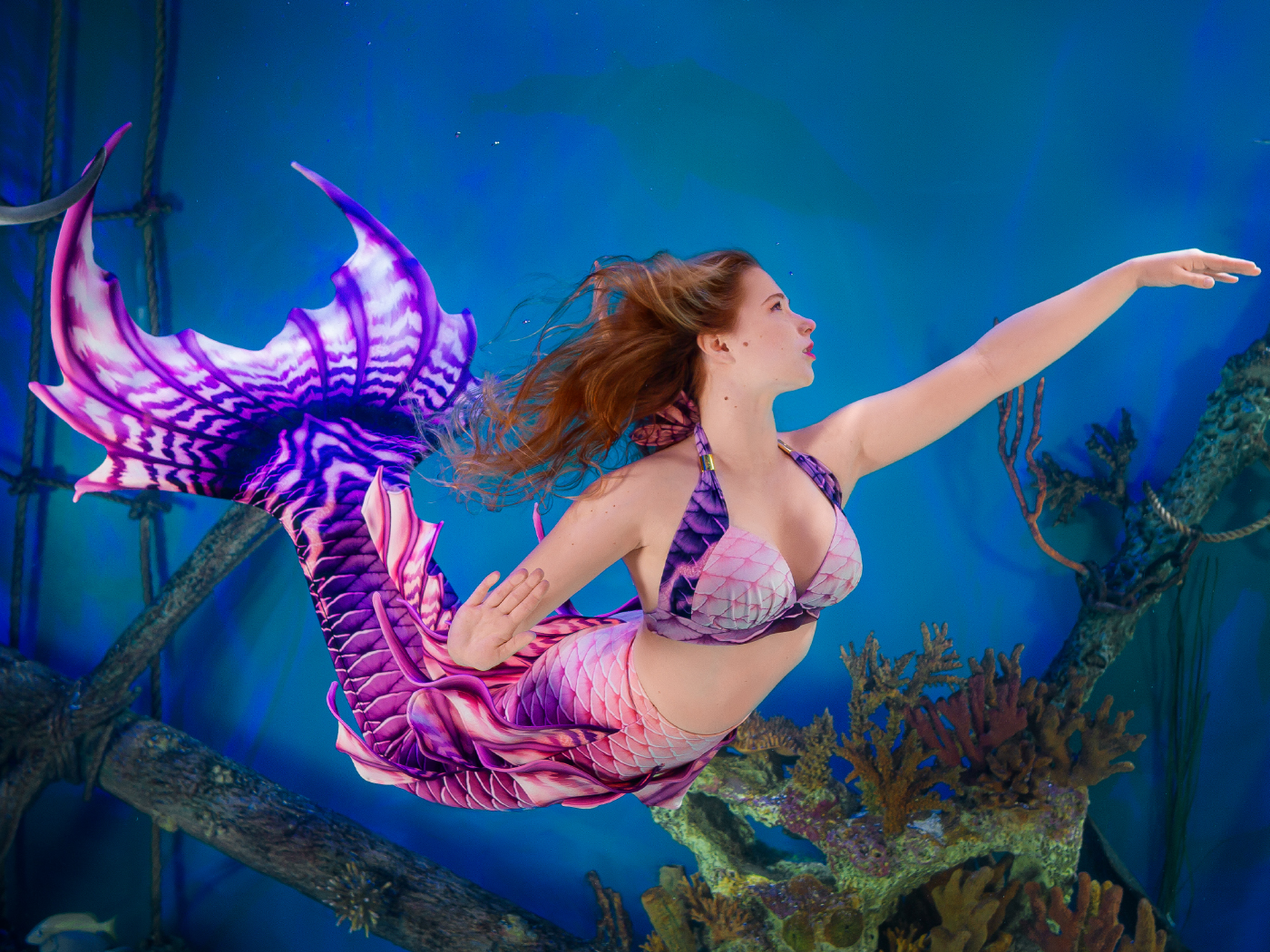 Mertailor Whimsy Mermaid Tail Skin designed for the Fantasea Fin Too