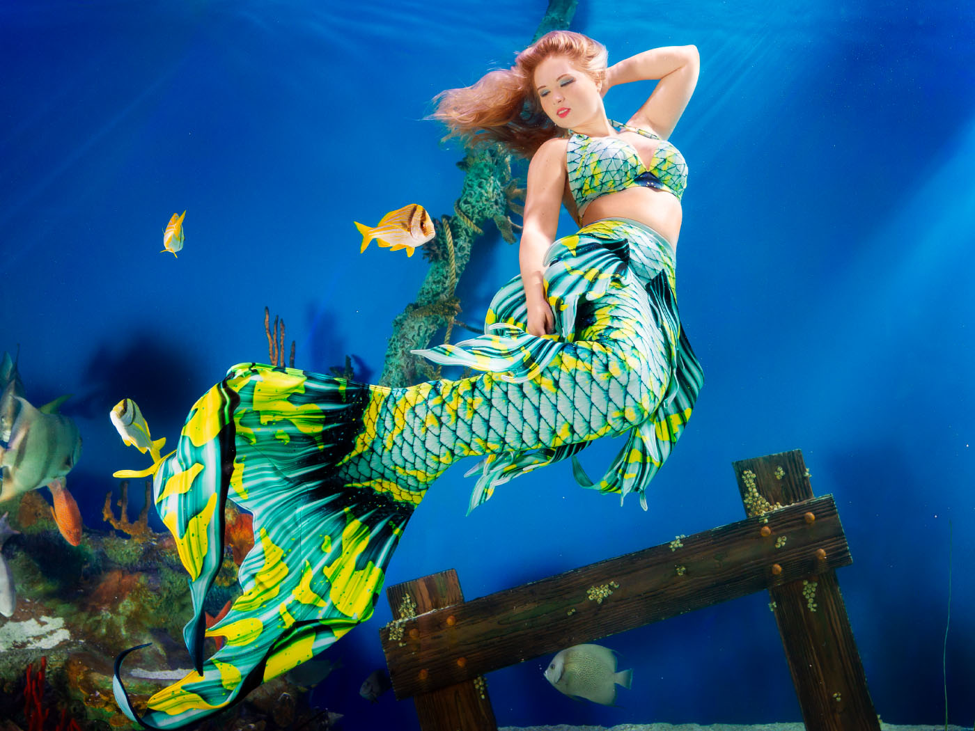Mertailor Whimsy mermaid tail skins underwater