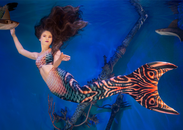 Guppy Mermaid Tails